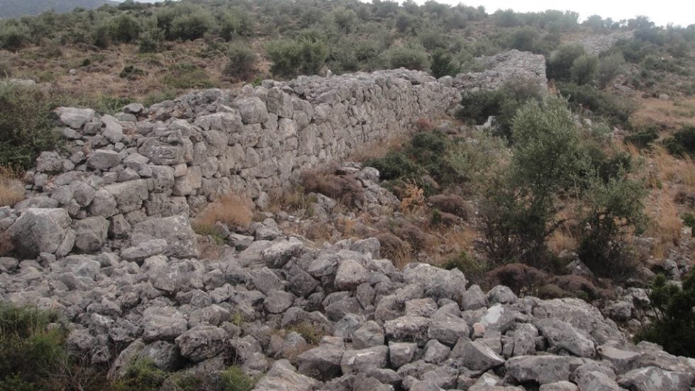 arxaio teixos dema fyli